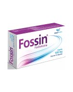 500 mg Fosfomicina