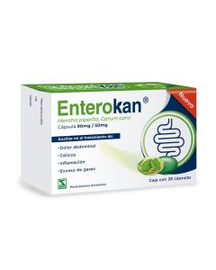 90/50 mg Mentha piperita Carum Carvi